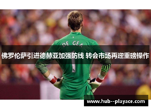 佛罗伦萨引进德赫亚加强防线 转会市场再迎重磅操作 佛罗伦萨引进德赫亚加强防线 转会市场再迎重磅操作